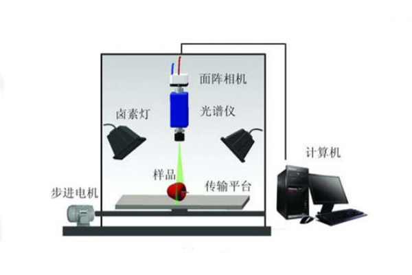 高光譜成像系統(tǒng)的結(jié)構(gòu)示意圖