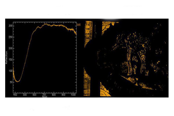 金色像素的光譜曲線圖和圖像空間分布