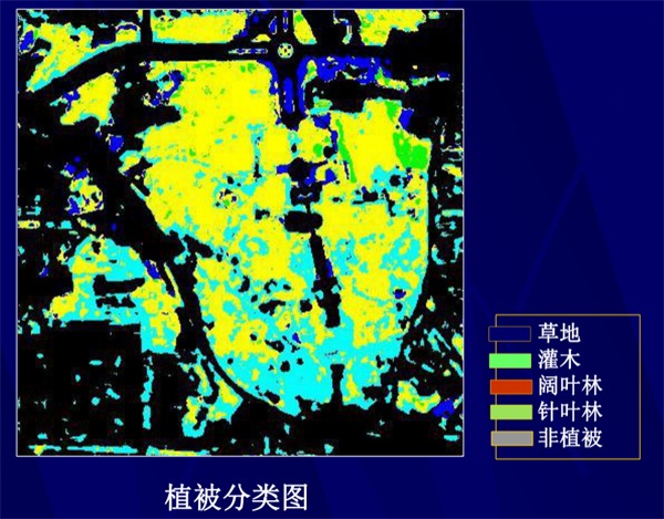 2. 植被分類圖