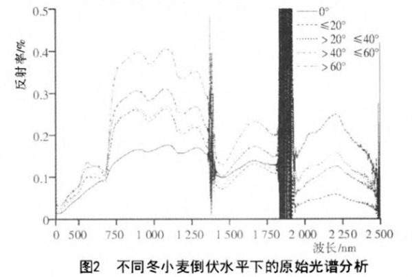 2.不同冬小麥倒伏水平下的原始光譜分析