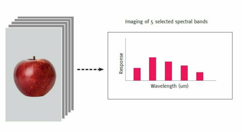 多光譜成像由彼此離散定位的光譜帶組成