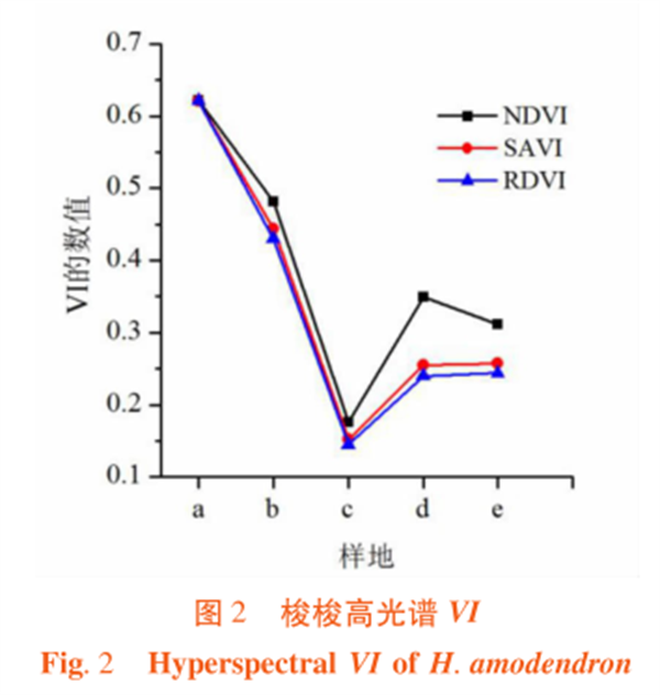 高光譜遙感在荒漠林植被指數(shù)（VI）比較中的應2