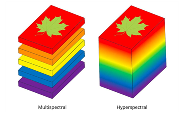 高光譜相機(jī)和多光譜相機(jī)有哪些區(qū)別