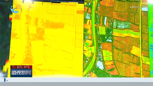 廈門：AI+高光譜 繪就農(nóng)業(yè)新畫卷4