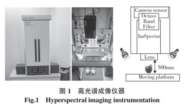 基于高光譜成像的蘋果損傷檢測方法