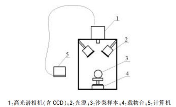 高光譜圖像技術(shù)在沙梨無損檢測(cè)中的應(yīng)用