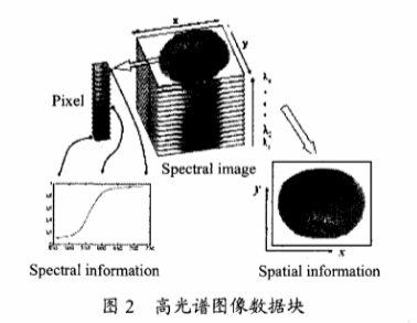 高光譜成像技術(shù)檢測柑橘果銹2