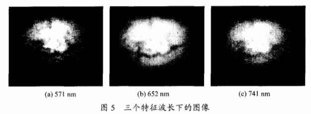 高光譜成像技術(shù)檢測柑橘果銹5