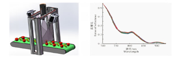 近紅外光譜分析技術(shù)食品檢測2